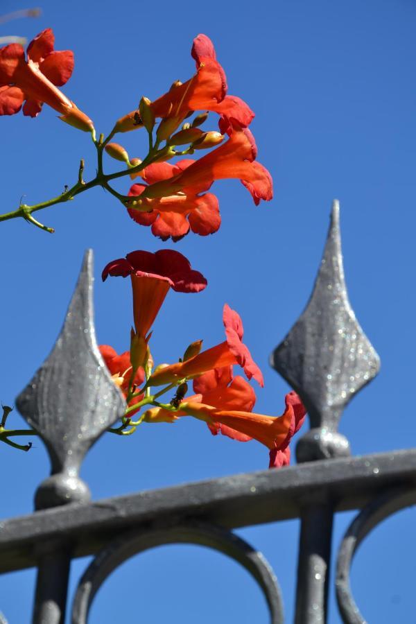 B&B Les Fleurs Gignod Rum bild